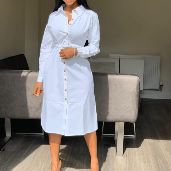 Mode européenne de haute qualité femmes robe formelle officielle dames casual street wear solide longue robe maxi sans ceinture - Image 2