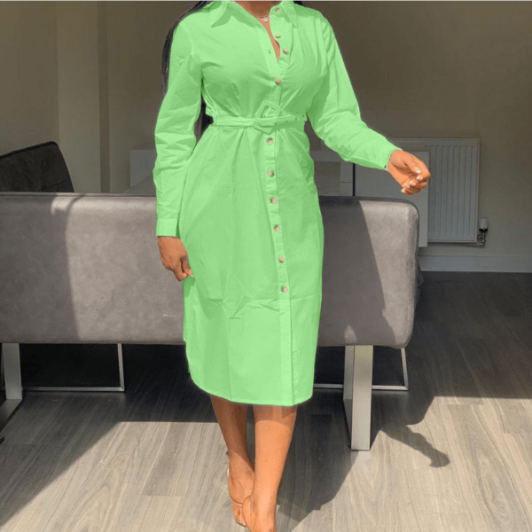 Mode européenne de haute qualité femmes robe formelle officielle dames casual street wear solide longue robe maxi sans ceinture - Image 4