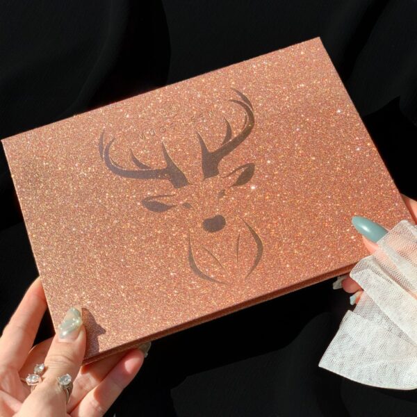 Nouvelle palette de fards à paupières de maquillage imperméable et facile à manipuler Fancy Beauty - Image 3