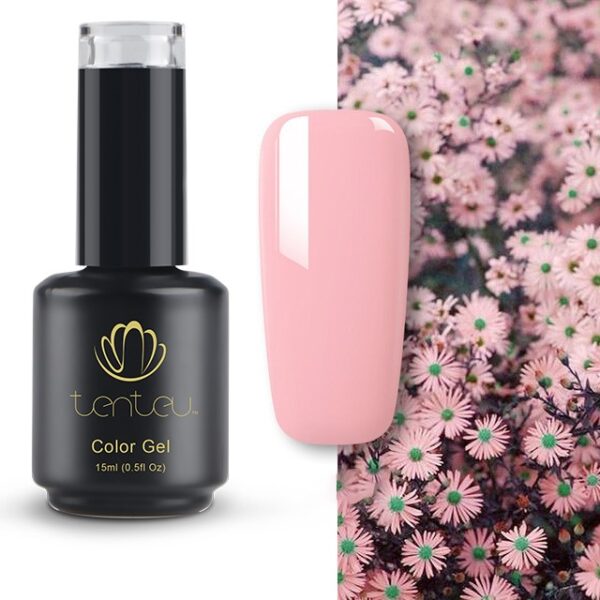 Sky vernis à ongles nouveaux fournitures pour les ongles bleu noir vernis uv Tenteu échantillon gratuit marque privée Rota UV Gel couleur Gel vernis - Image 3